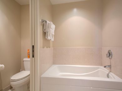 Kaanapali  Maui Condo 895767